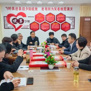 鹿城鎮(zhèn)老年協(xié)會學(xué)習(xí)宣傳貫徹黨的二十大精神，結(jié)合實(shí)際做好自身工作討論會召開